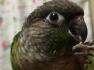 まっちゃちゃん まっちゃちゃん