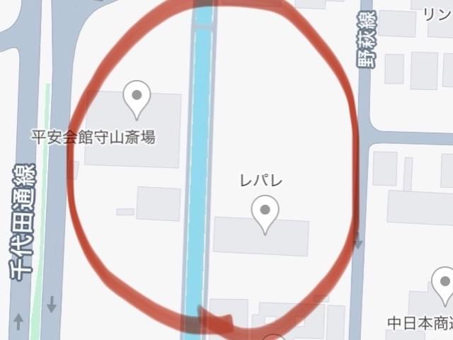 目撃された鳥 目撃された鳥