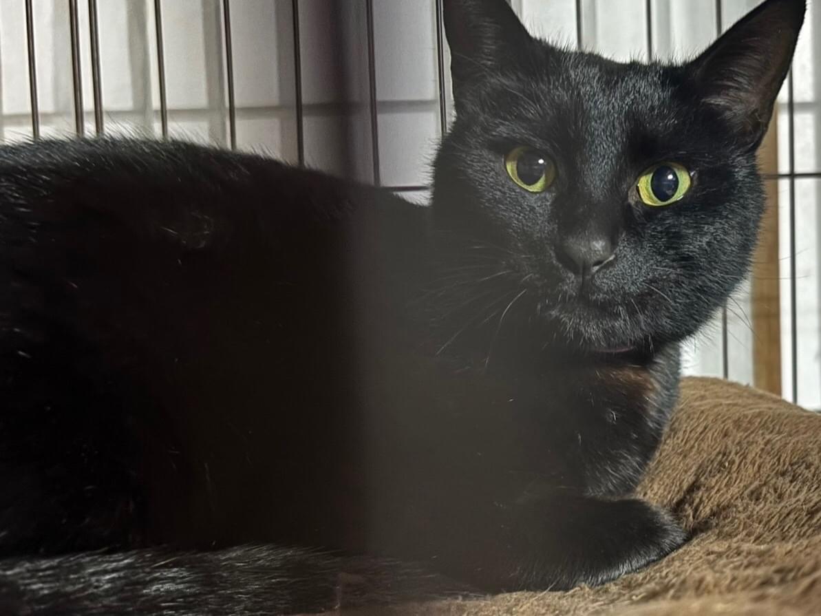 まーちゃん まーちゃん