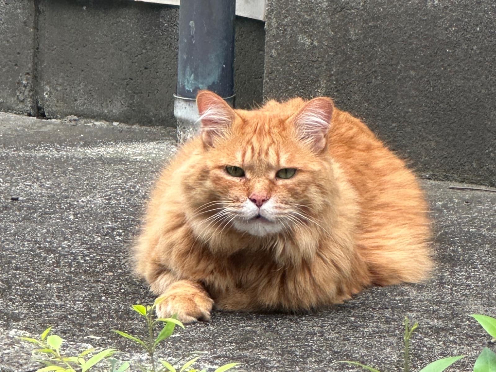 あきちゃん あきちゃん