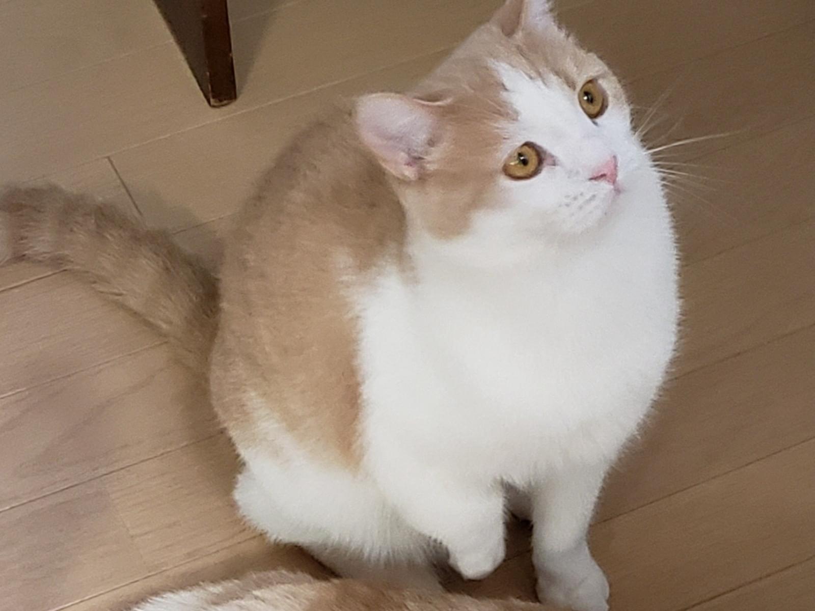 来ジローちゃん 来ジローちゃん