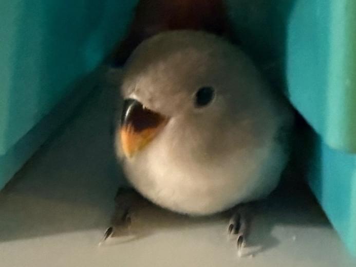 ウミちゃん ウミちゃん