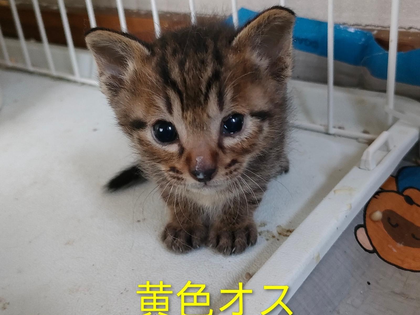 ムイちゃん ムイちゃん