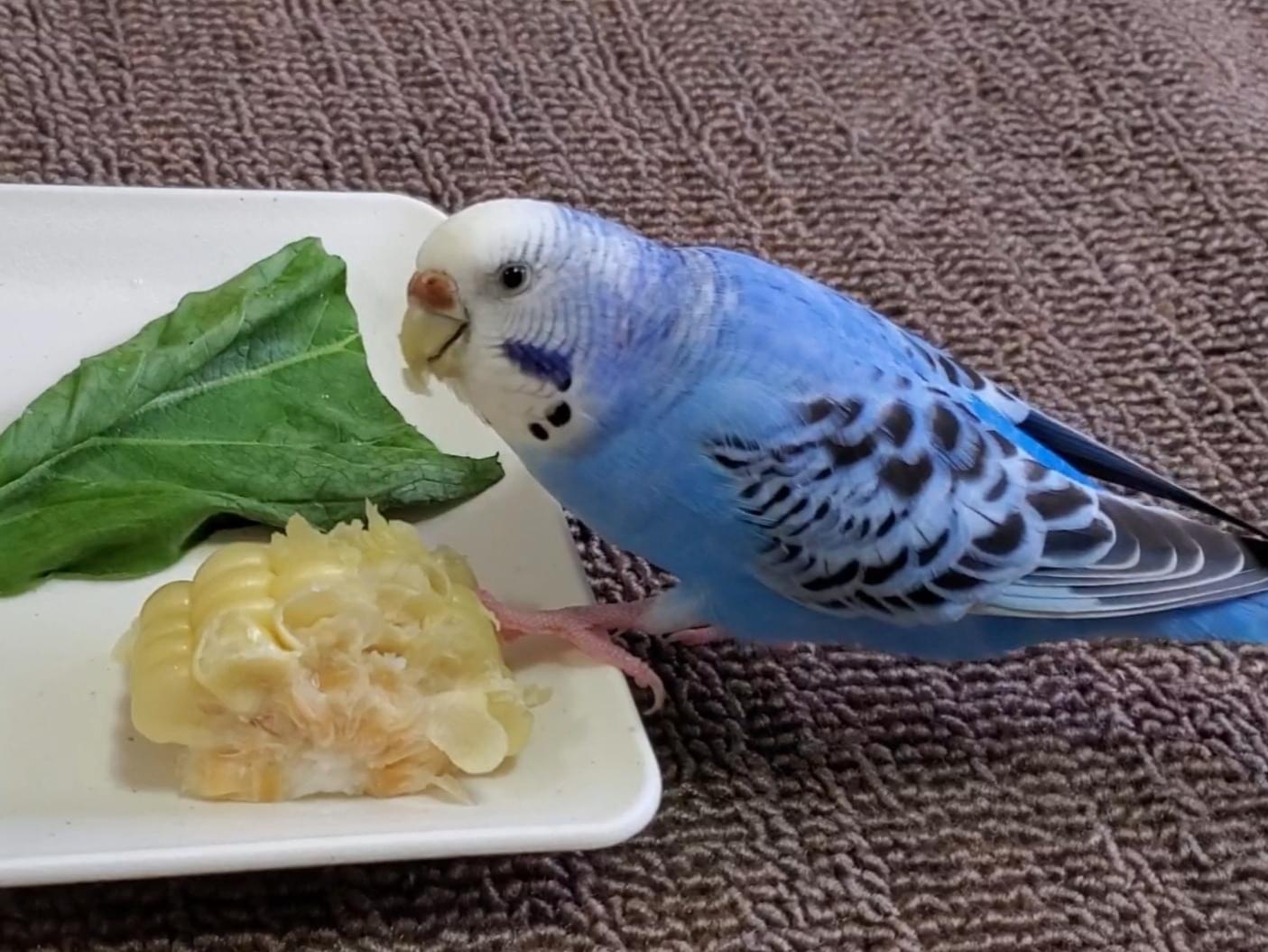 ばあちゃん ばあちゃん