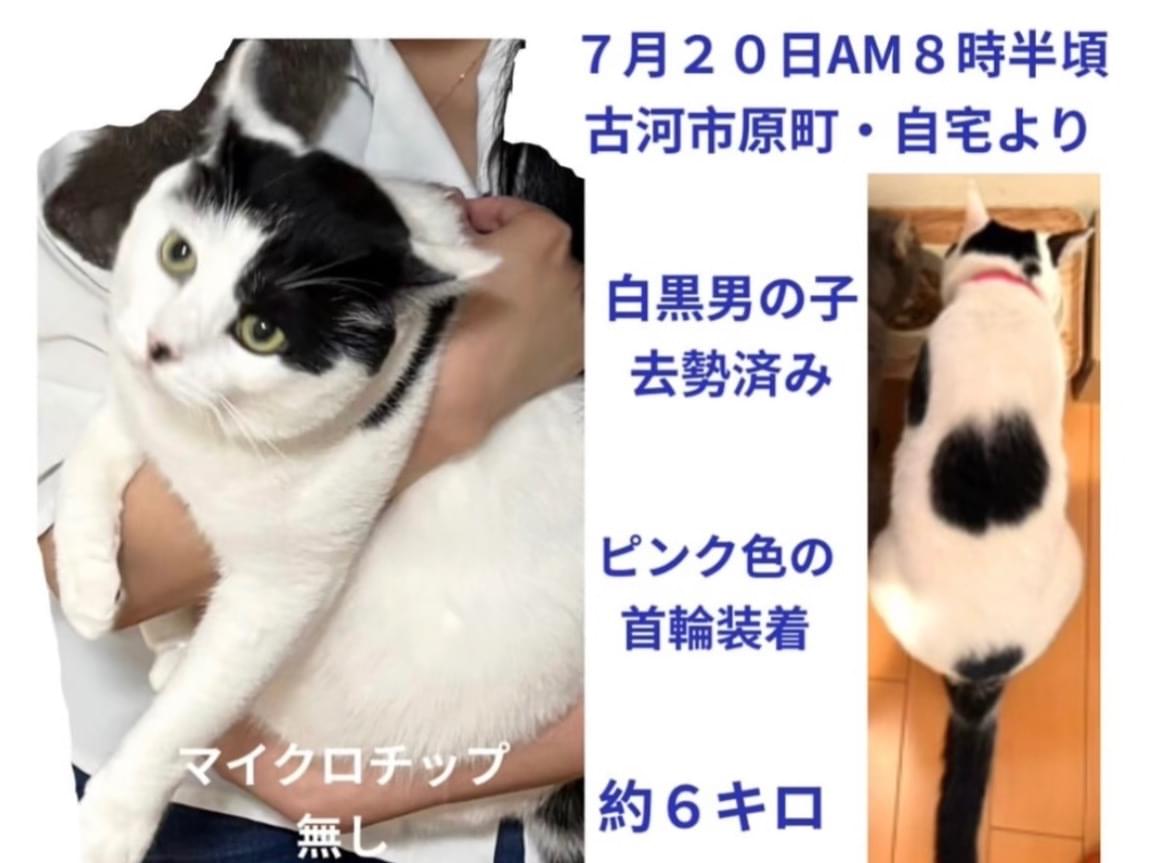 のりまきちゃん のりまきちゃん