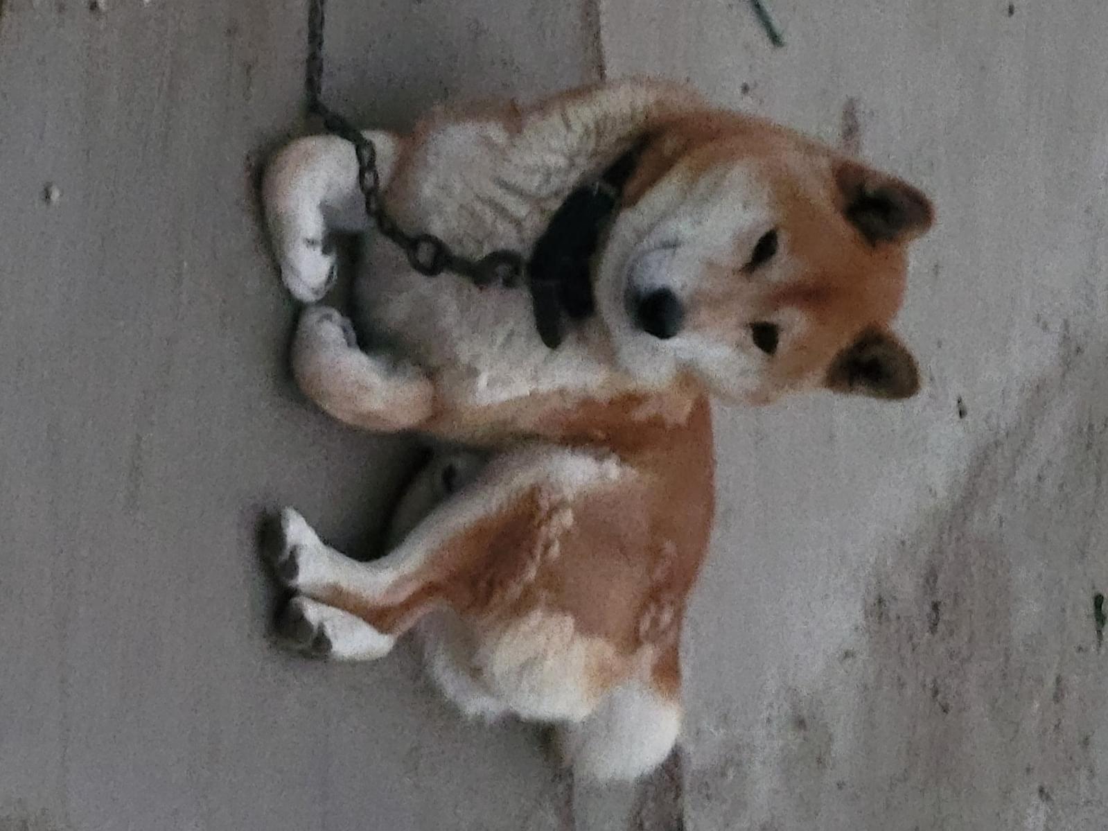 こうたくんちゃん こうたくんちゃん