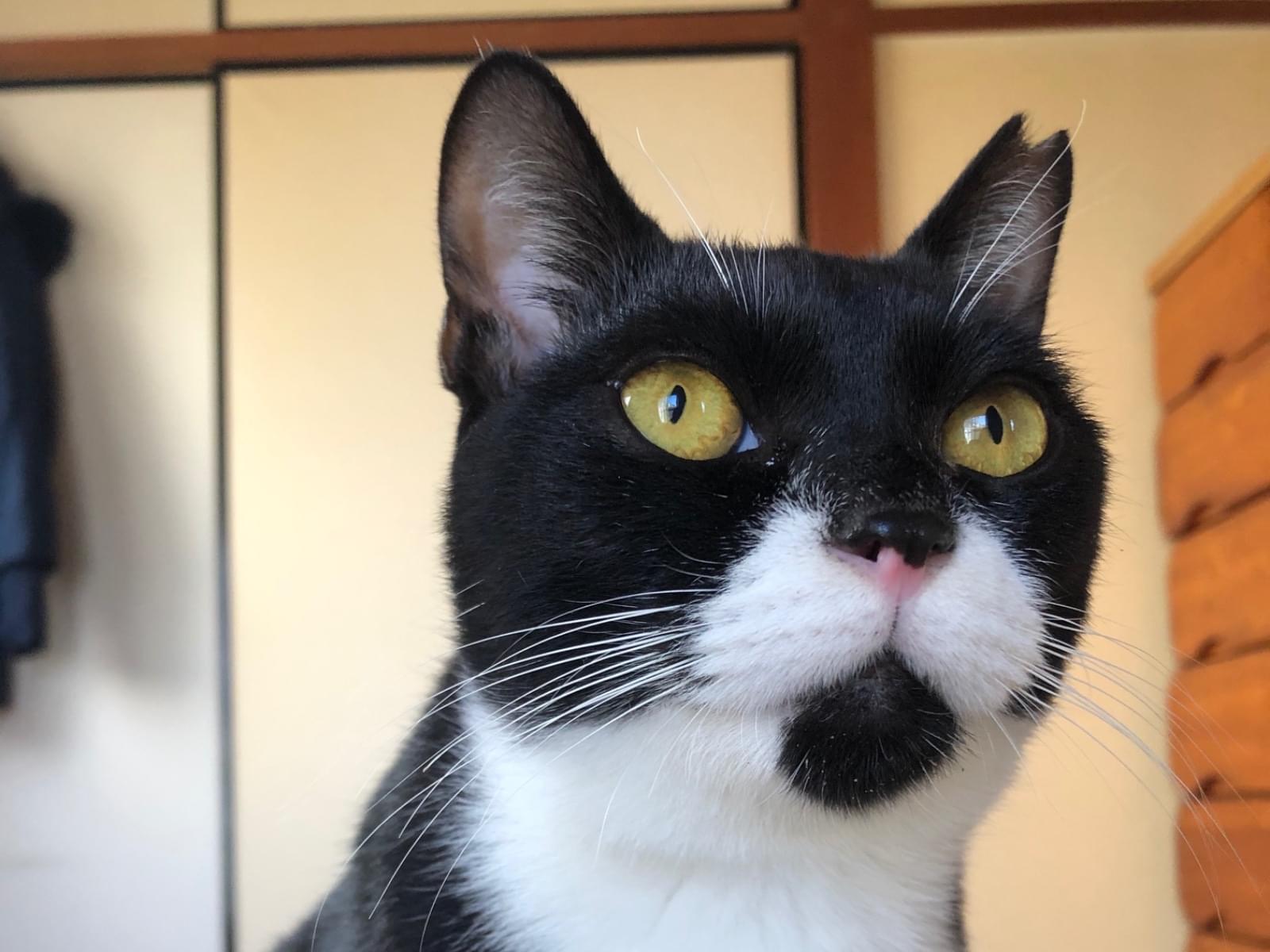 しじみちゃん しじみちゃん