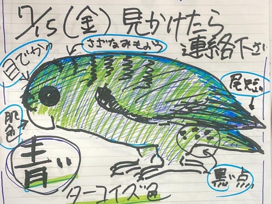 ひなちゃん ひなちゃん