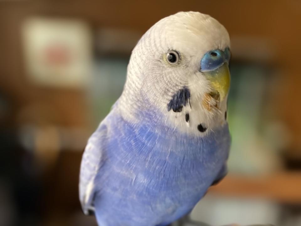 そらちゃん そらちゃん