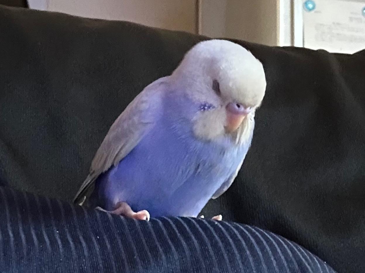 アオちゃん アオちゃん