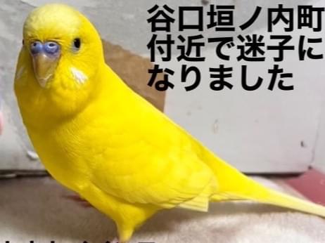 しーちゃん しーちゃん