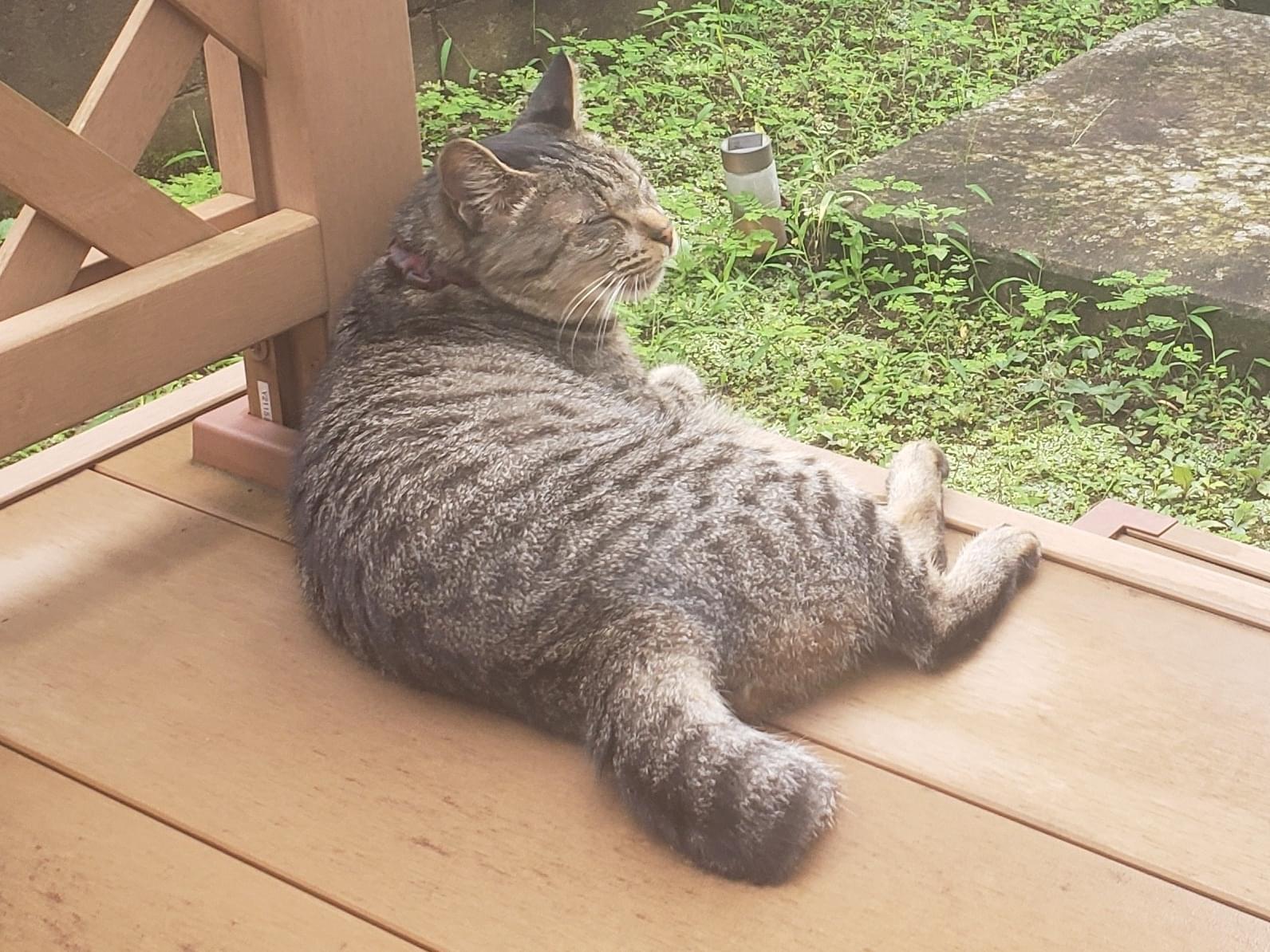 のららちゃん のららちゃん