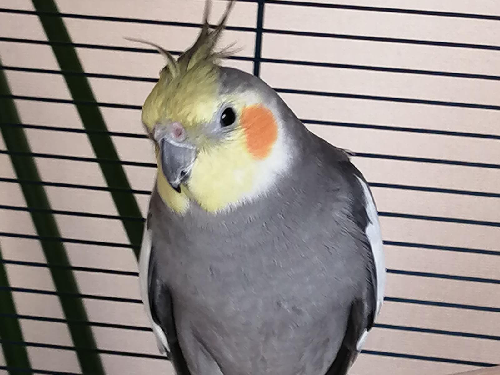 マルちゃん マルちゃん