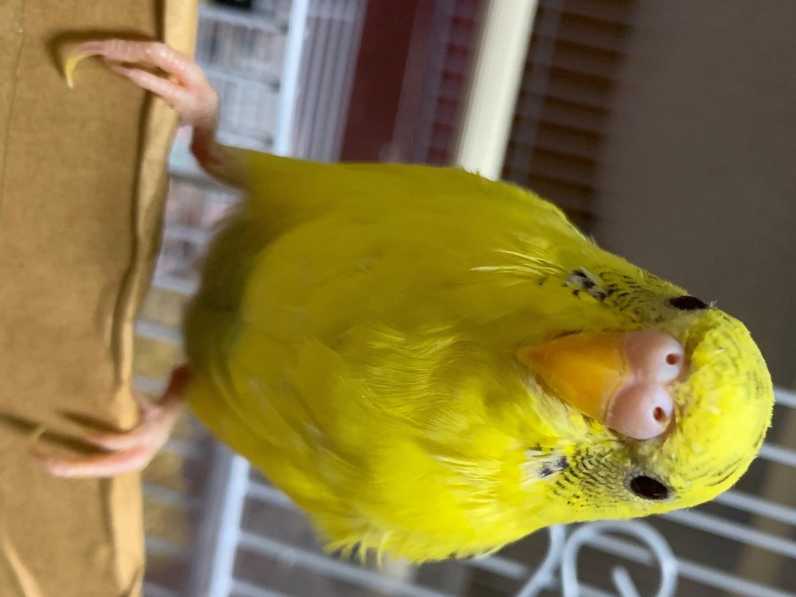 まるちゃん まるちゃん