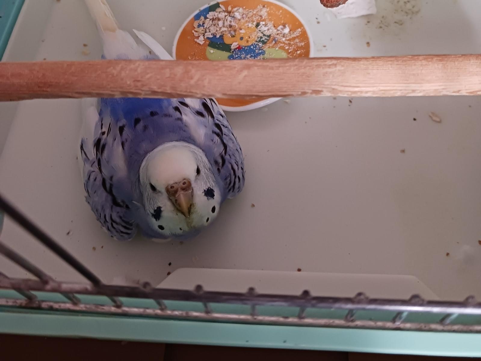 ひめちゃん ひめちゃん