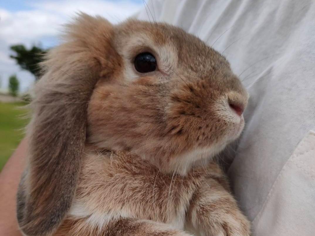 こたろうちゃん こたろうちゃん