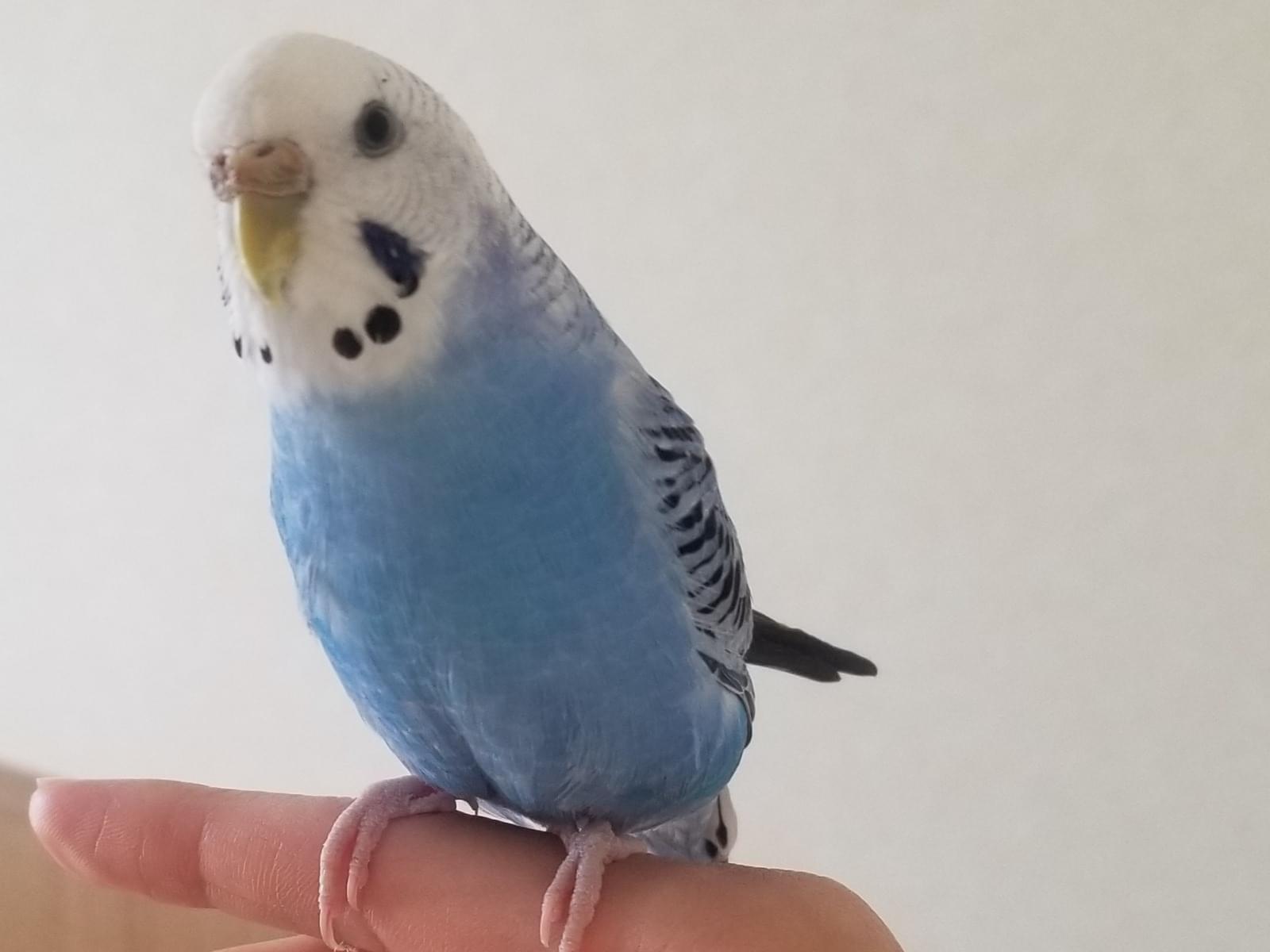 えるちゃん えるちゃん