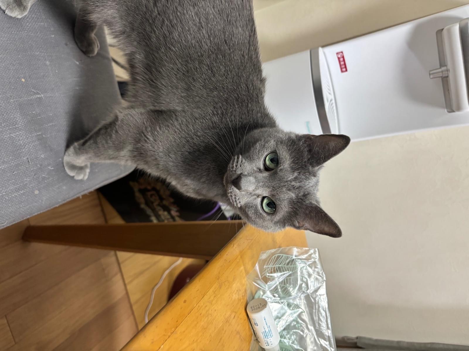 リョウタちゃん リョウタちゃん