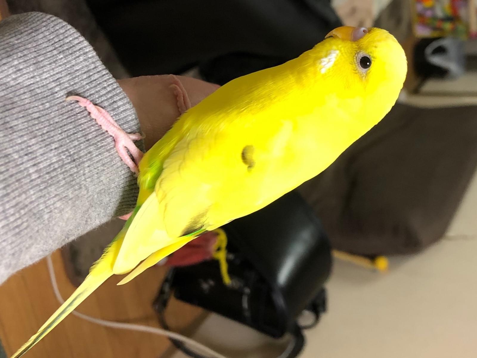 たーくんちゃん たーくんちゃん
