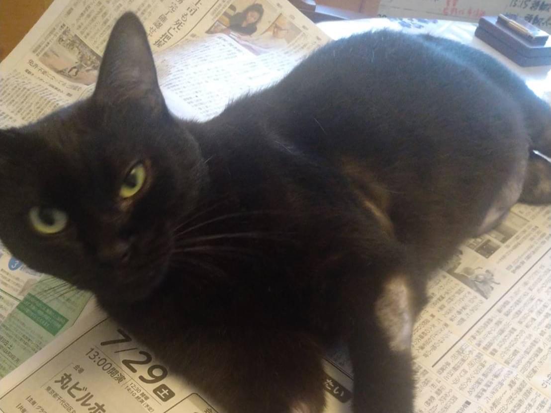 ひめちゃん ひめちゃん