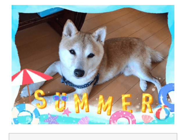 アサヒちゃん アサヒちゃん
