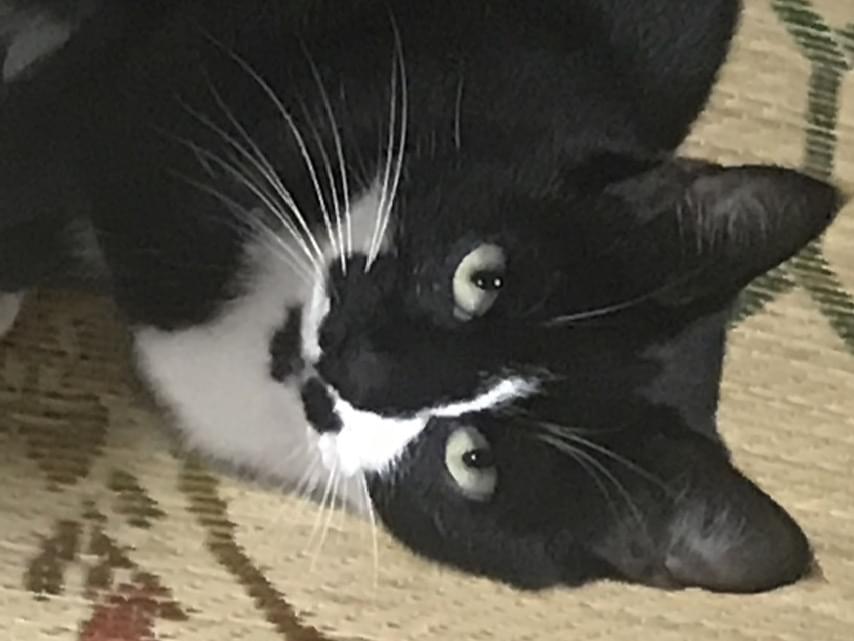 まおちゃん まおちゃん