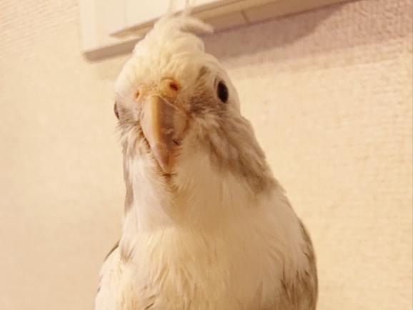 もっちちゃん もっちちゃん