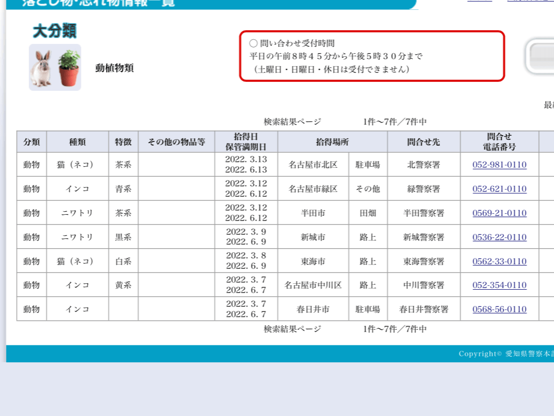 保護された鳥 保護された鳥
