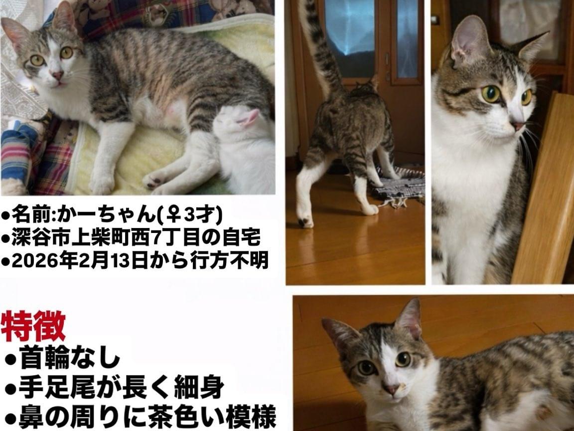 かーちゃん かーちゃん