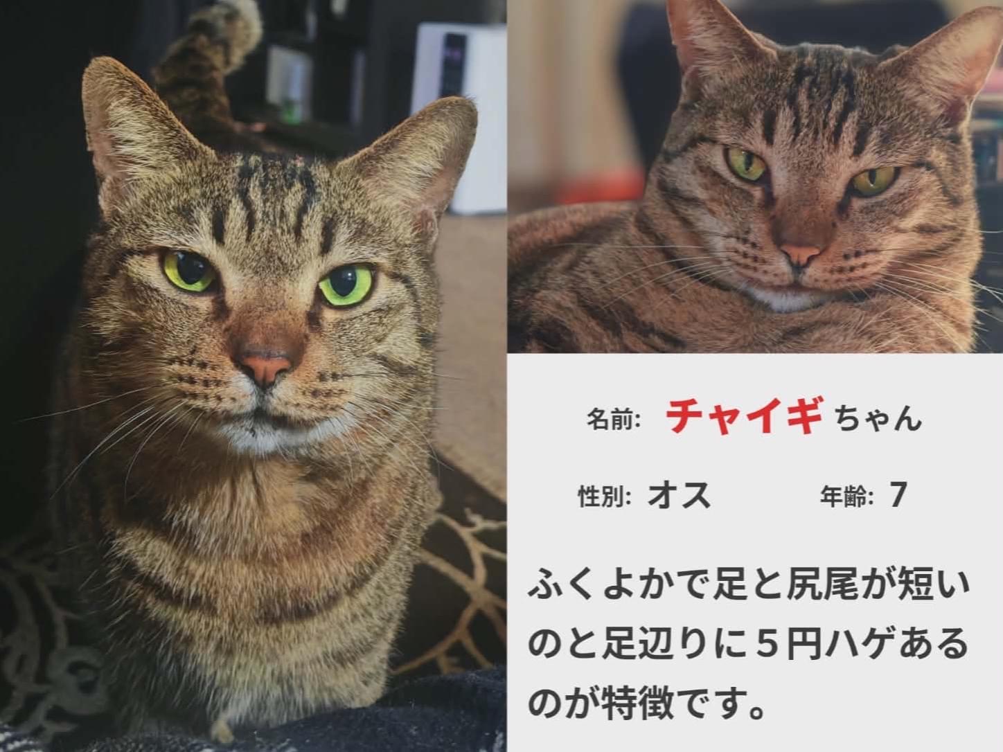 チャイギちゃん チャイギちゃん