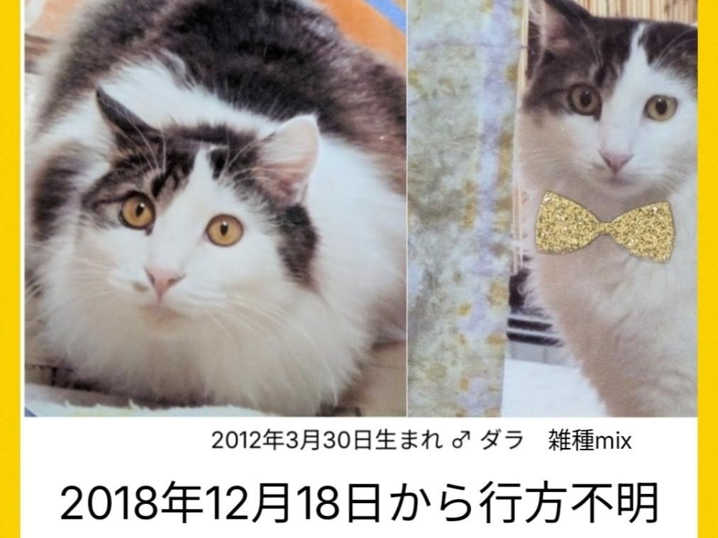 ダラちゃん ダラちゃん