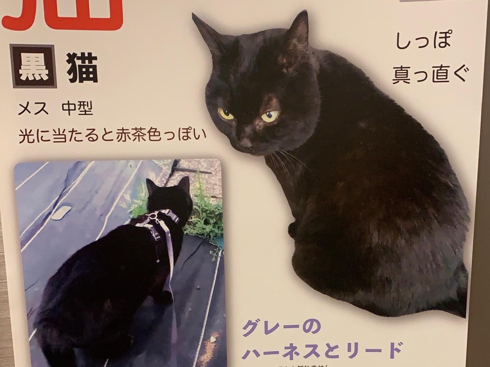 まーたんちゃん まーたんちゃん