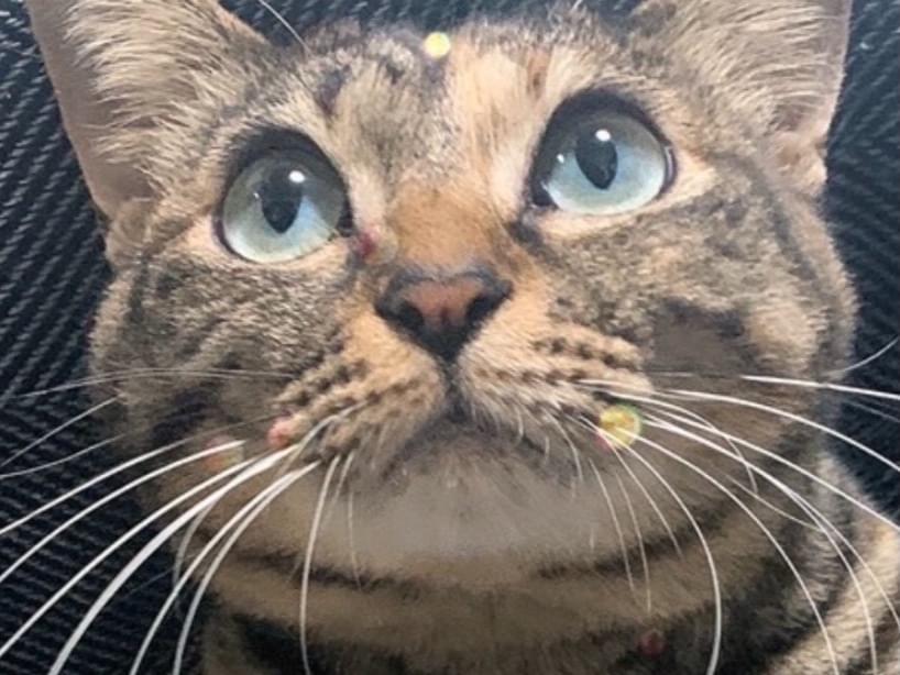 ひまわりちゃん ひまわりちゃん