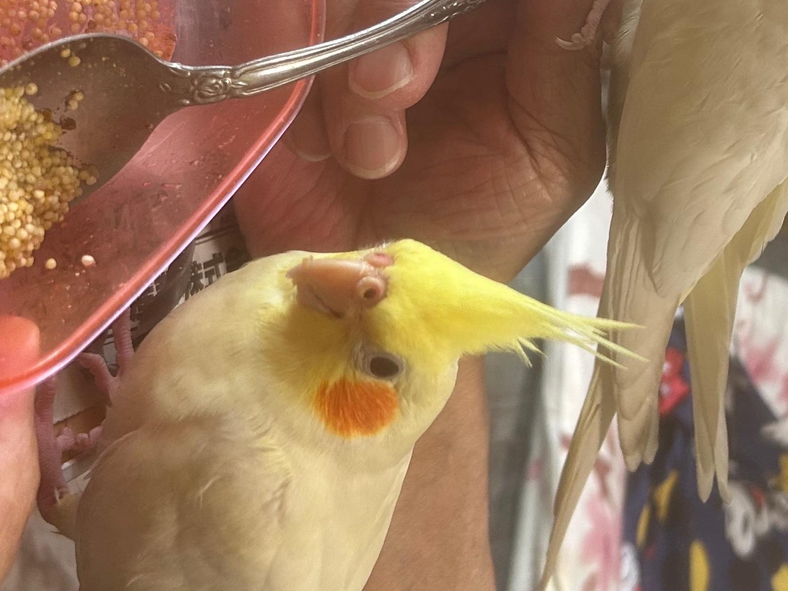 ナギちゃん ナギちゃん