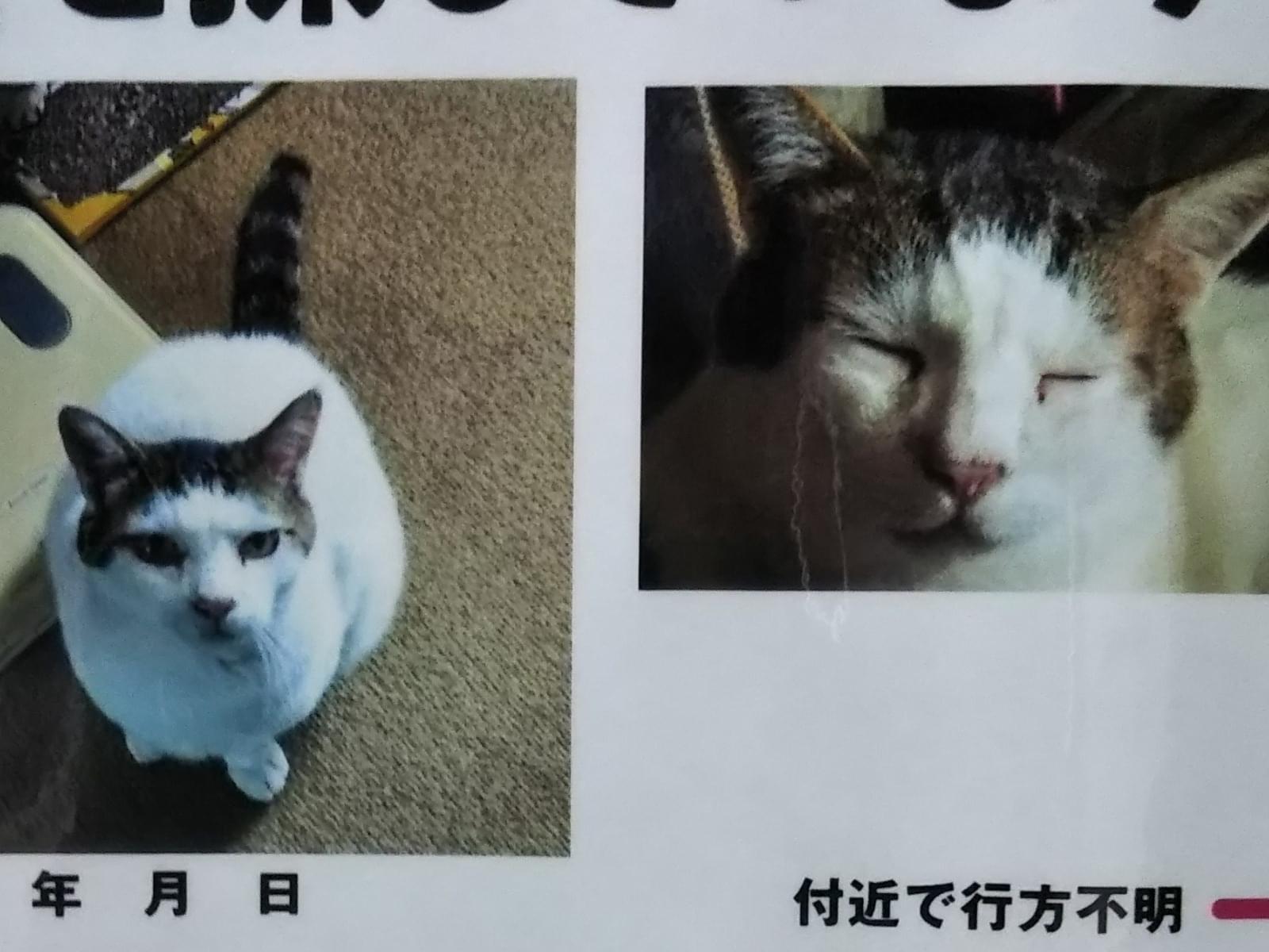 フジちゃん フジちゃん