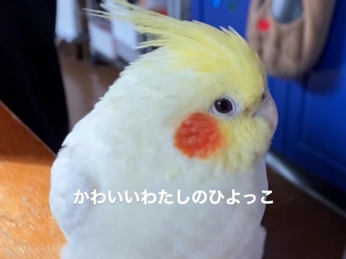 まるちゃん まるちゃん