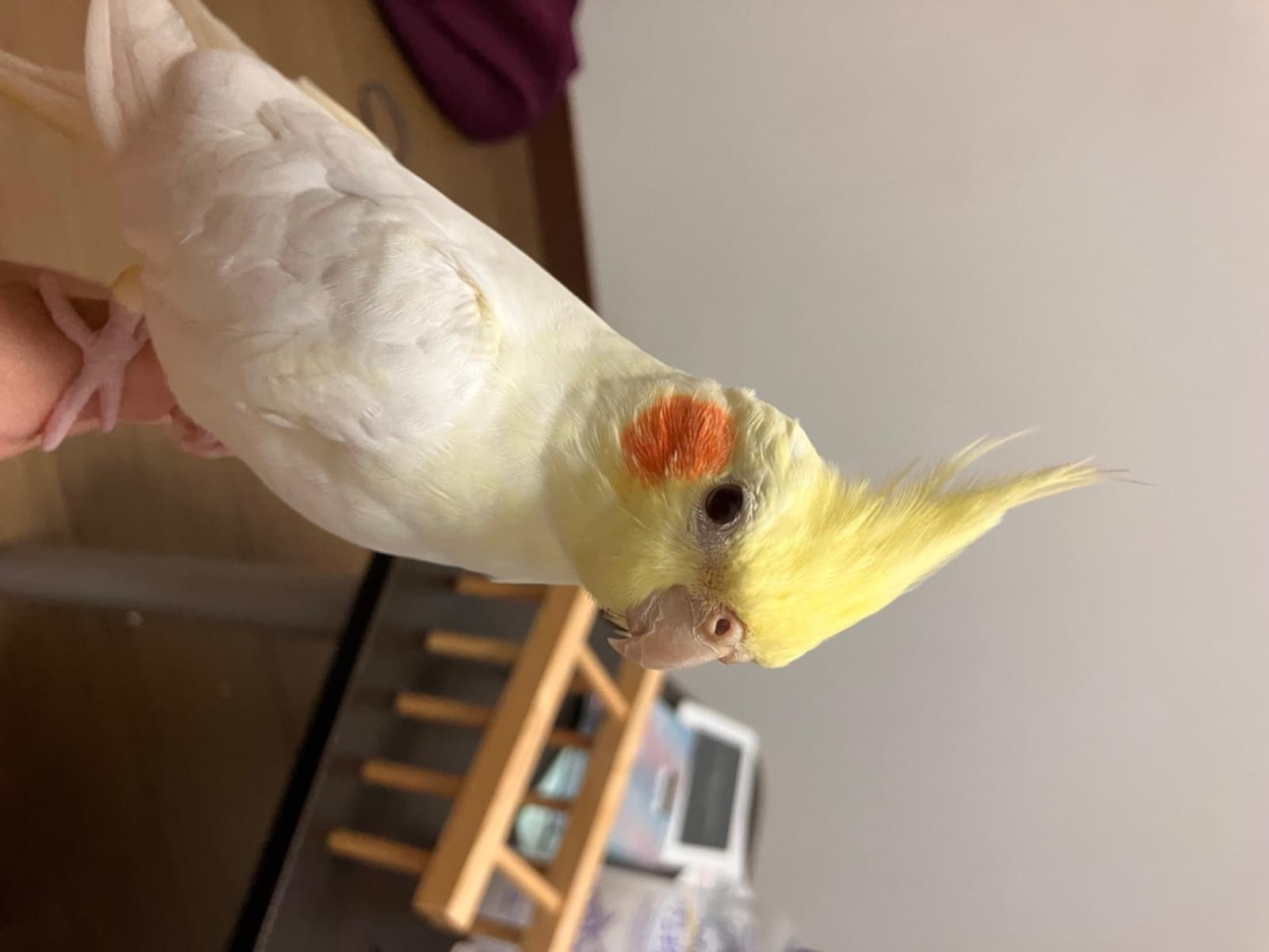 タキちゃん タキちゃん