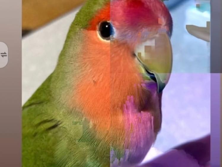 チュンちゃん チュンちゃん