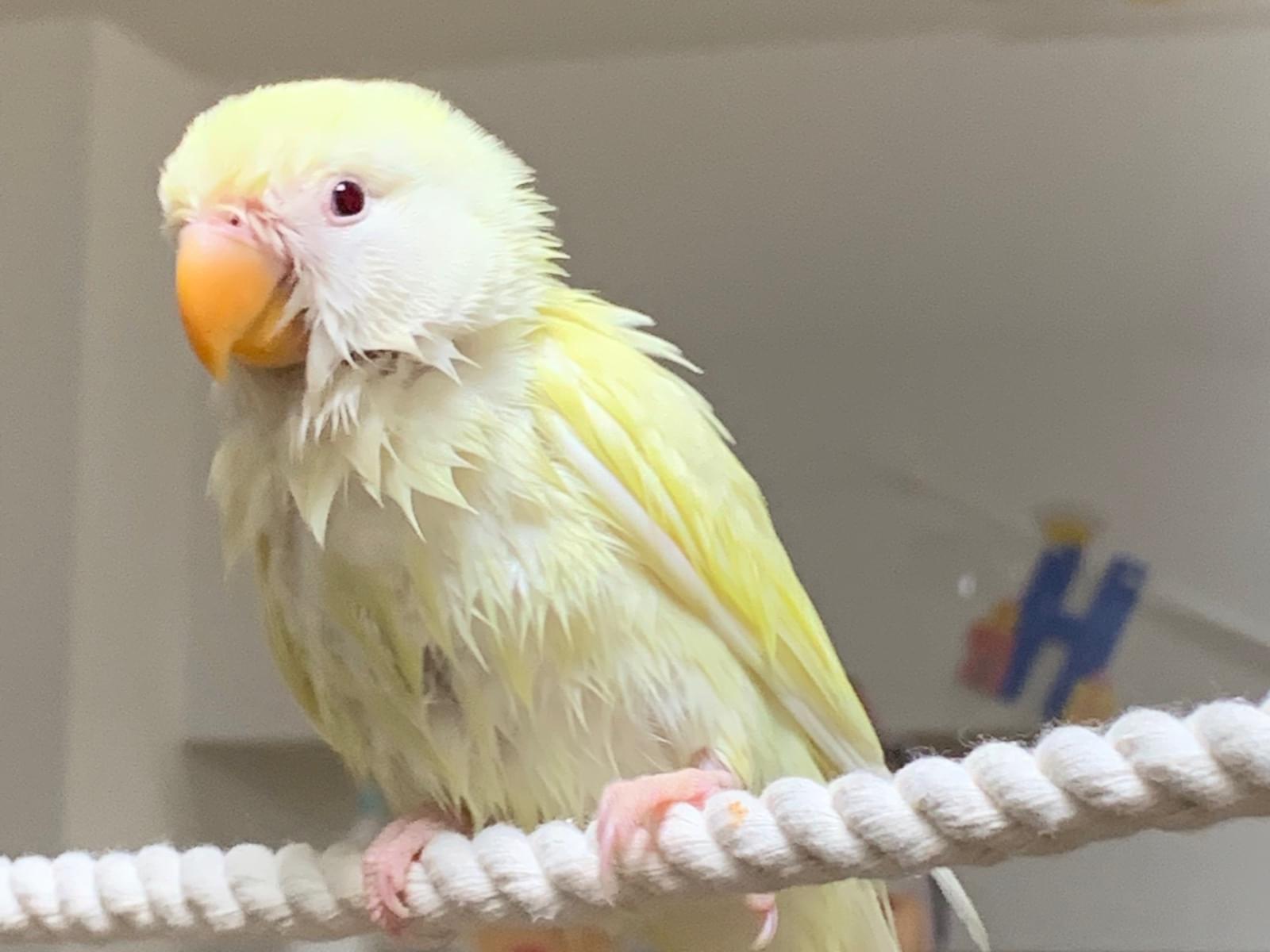 ひめちゃん ひめちゃん