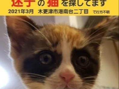 りんごちゃん りんごちゃん
