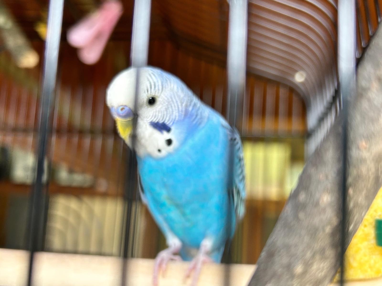 アオちゃん アオちゃん