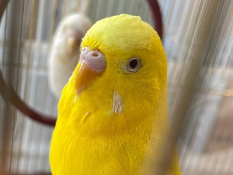 ジュンちゃん ジュンちゃん