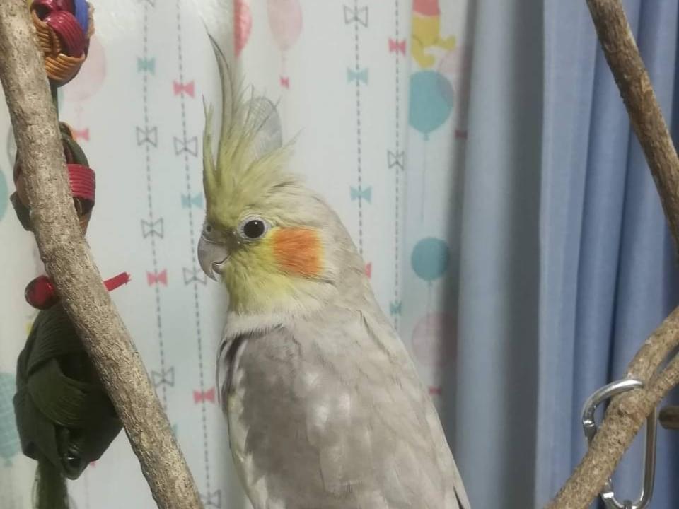 アルくんちゃん アルくんちゃん