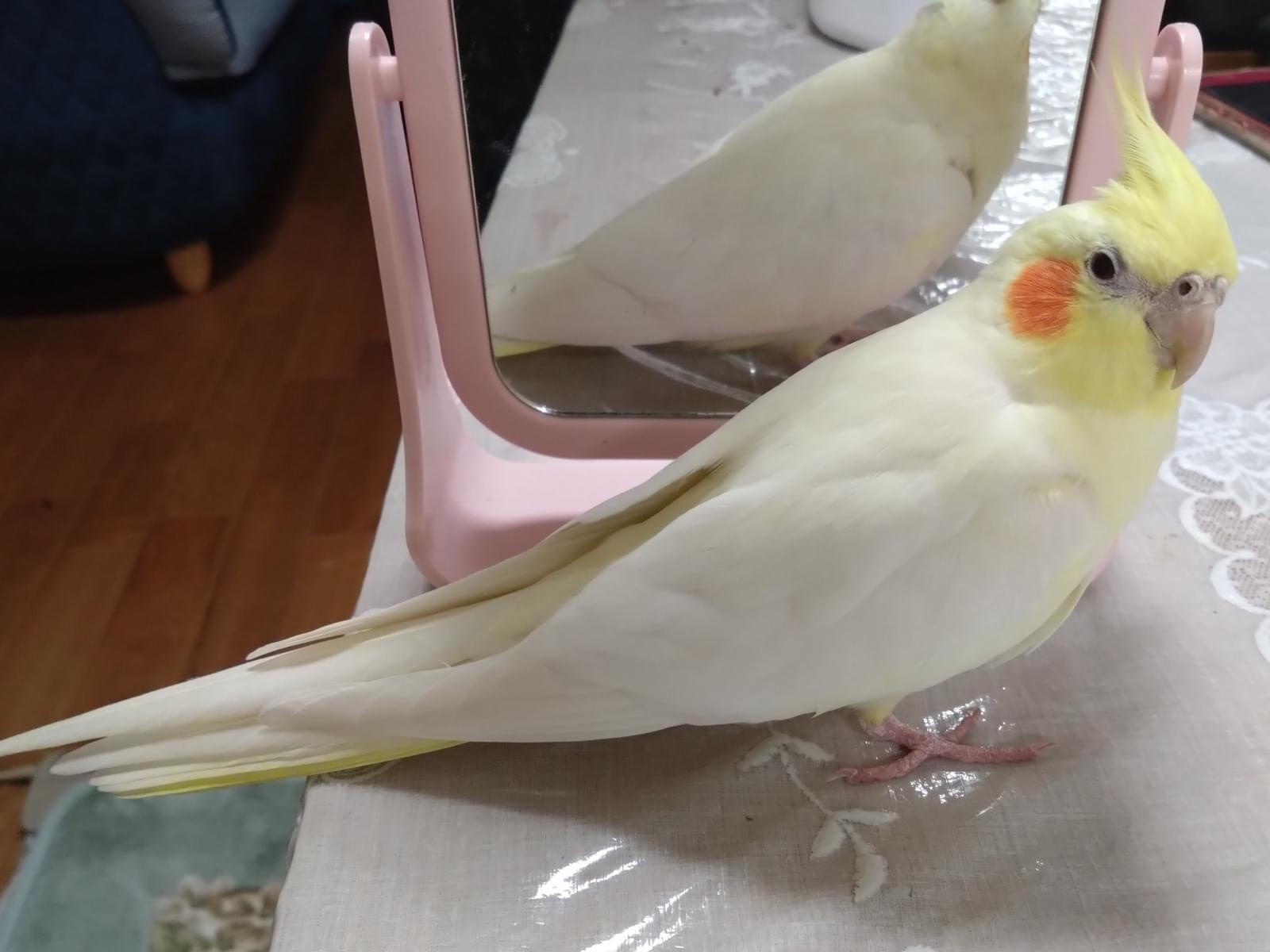 ユウちゃん ユウちゃん