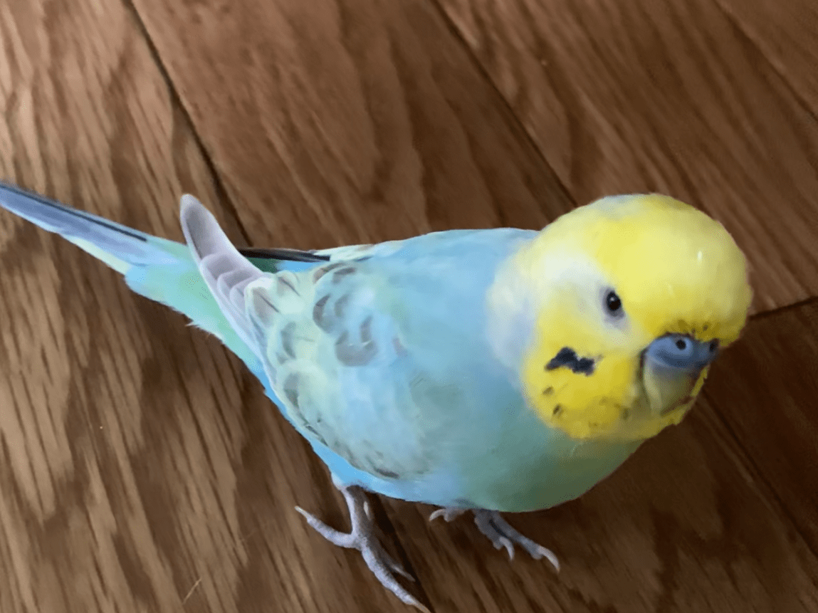 キキちゃん キキちゃん