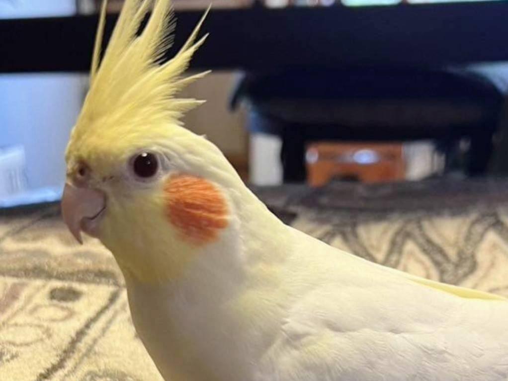 うめちゃん うめちゃん