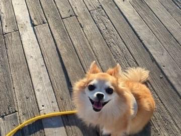 ナナちゃん ナナちゃん