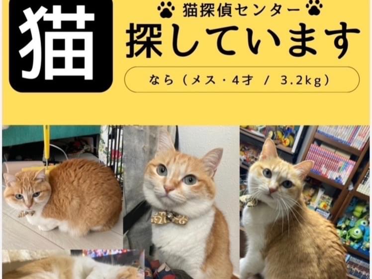 ナラちゃん ナラちゃん