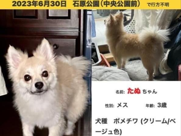 たぬちゃん たぬちゃん