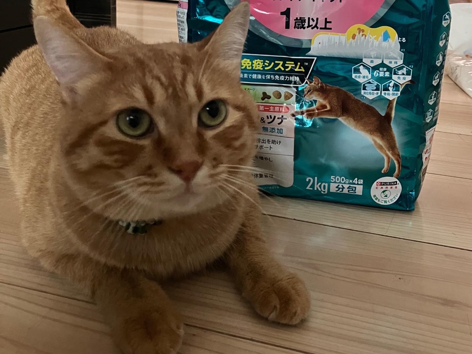 ラキちゃん ラキちゃん